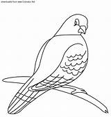Pigeon Coloring Pages Animals Preschool Printable sketch template