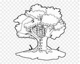 Coloring Magic Tree Pages House Treehouse Peaceful sketch template