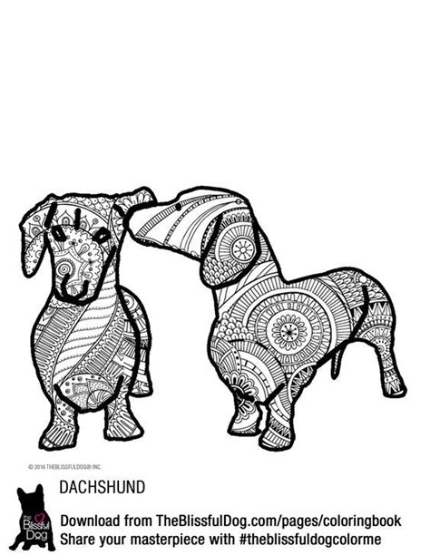 printable sausage dog colouring pages rionatyrique