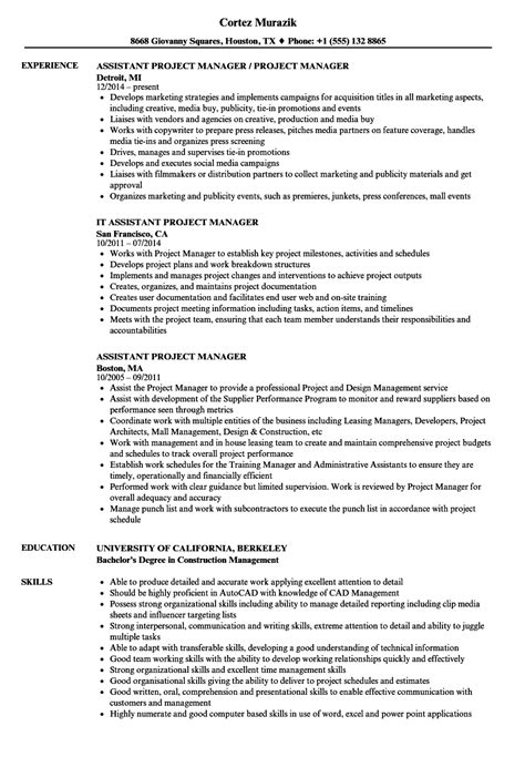 project manager cv sample master  template document