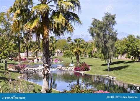 lovely waterfall  cooling pond  palm springs stock image image