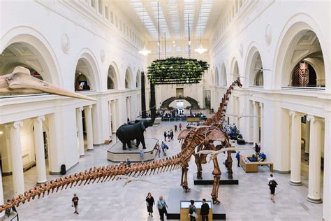 success story replacing  dinosaur   systemthe field museums
