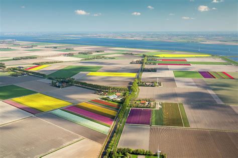 netherlands flevoland farmland  photograph  frans lemmens fine art america