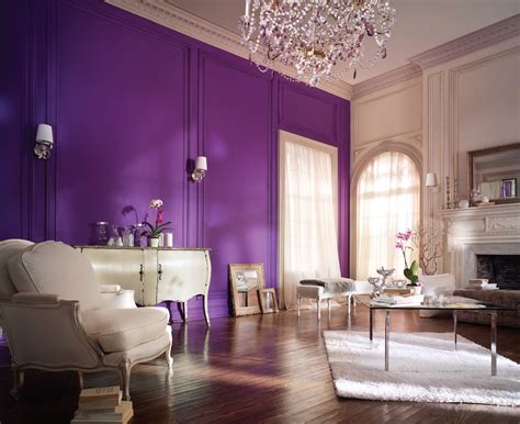 purple wall paint  variants homesfeed