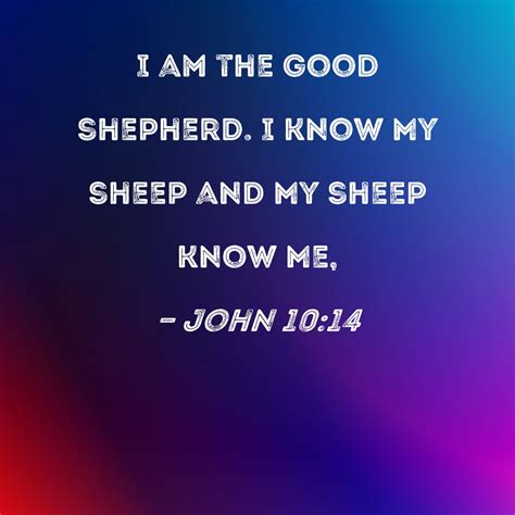 john 10 14 i am the good shepherd i know my sheep and my sheep know me
