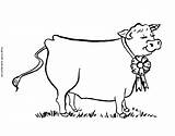 Coloring Dairy Pages Cow Group Popular Coloringhome sketch template