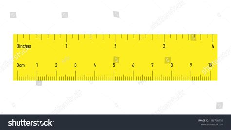 side ruler scales centimeters inches stock vector royalty