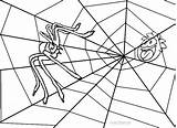 Spinnennetz Malvorlagen Cool2bkids Druckbare Ausdrucken Getdrawings sketch template