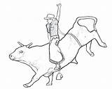 Bull Coloring Pages Riding Rodeo Printable Color Bucking Bulls Pbr Rider Red Drawing Chicago Horse Toys Print Kids Drawings Sheets sketch template