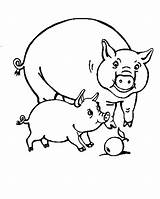 Coloring Pages Piglets Pigs Print Kids Color sketch template