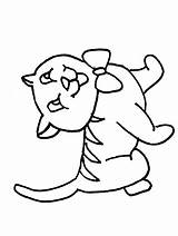 Katten Poezen Colorat Gatos Animale Pisici Pages Gatto Hond Katze Coloriage Planse Katzen Gatti Disegno Poes Honden Animaatjes Dieren Kleuren sketch template