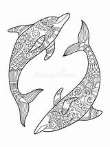 Coloring Dolphin Vector Adults Book Mandala Illustration Dreamstime Zentangle Stress Stencil Anti Tattoo Style Illustrations Vectors Royalty Stock sketch template