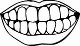 Teeth Dental Tooth Wecoloringpage Smiles Brush sketch template