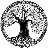 Tree Celtic Life Tattoo Drawing Vector Symbol Symbols Logo Norse Vida Mandala Knotwork Designs Tribal Getdrawings Viking Thin Places Tattoos sketch template