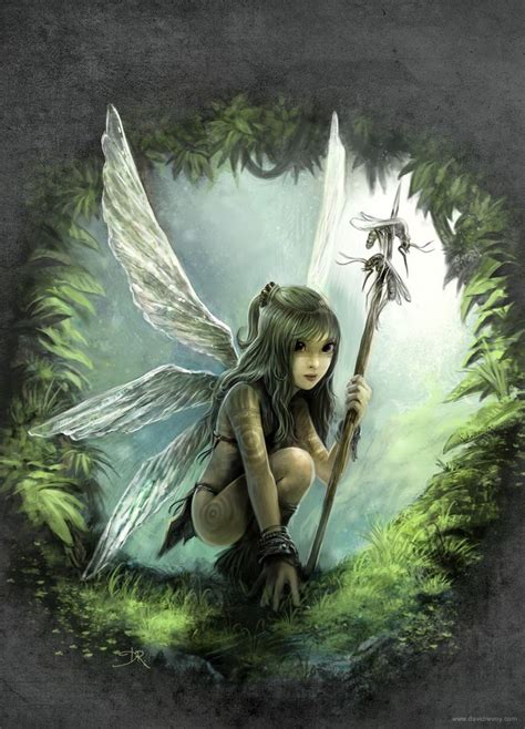 fairies images  pinterest elves magical creatures