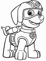 Patrol Paw Coloring Zuma Pages Getdrawings sketch template