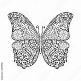 Mandala Colorare Da Farfalla Adulti Per Butterfly Coloring sketch template