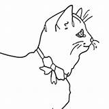Coloring Kitten Ribbon sketch template