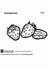 Coloring Strawberries Para Colorear Dibujo Fresas Fresa Dibujos Edupics Large Pages sketch template