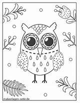 Eule Malvorlage Malvorlagen Eulen Ausmalbild Owls Ausgemalt Augen Große Verbnow sketch template