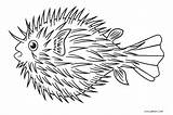 Fish Saltwater Pages Coloring Printable Getdrawings Drawing Getcolorings sketch template