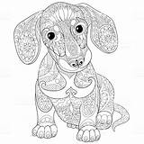Dackel Ausmalbilder Ausmalen Hunde Tiere Welpen Welpe Dachshund Erwachsene Malvorlagen Zentangle Zeichnen Malvorlage Kinder sketch template