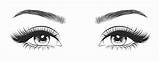 Lashes Eyelashes Eyebrows Brows sketch template
