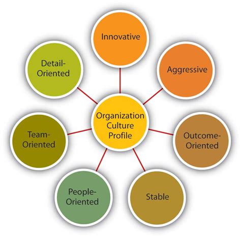 characteristics  organizational culture organizational behavior