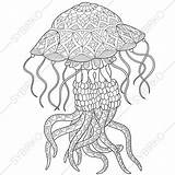 Zentangle Jellyfish Meduse Stylized Drawn Vettoriale Colorare Kwal Gestileerde Stockillustratie Kwallen Stilizzate Stilizzato Antistress Adulti sketch template