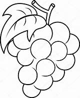 Grapes Bunch Grape Coloring Outline Drawing Para Clipart Manualidades Stock Cristianas Uva Colorear Dibujo Dibujos Imagen Line Boyama Pintar La sketch template