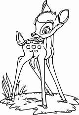 Coloring Bambi sketch template