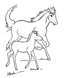 horse outline printable  kids horse coloring pages