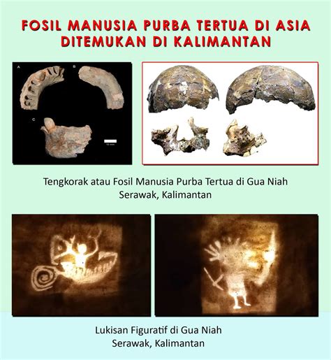 tomi poesaka kapoeas fosil manusia purba tertua  asia ditemukan