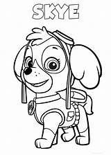 Patrol Paw Pages Coloring Puppy Printable Performs Pilot Rescue Function Girl Raskrasil sketch template