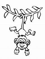 Monkey Hanging Drawing Pano Seç sketch template