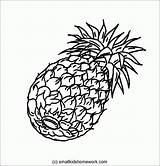 Pineapple Outline Coloring Fruits Pages Kids Comments sketch template