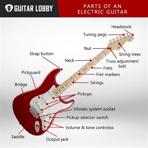 parts   electric guitar  diagram   guitar lobby
