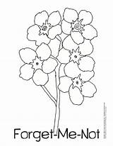 Forget Flower Drawing Paintingvalley sketch template