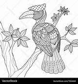 Hornbill Zentangle Coloriage Livre Banane Singe Petit Vectorstock Drawn Malen sketch template