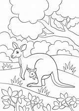 Kangaroo Coloration sketch template