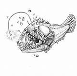 Fish Angler Coloring Anglerfish Pages Colouring Drawings Designlooter Color sketch template