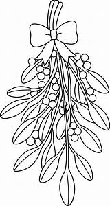 Mistletoe Coloring Pages Christmas Line Drawing Clip Sketch Clipart Printable Outline Bestcoloringpagesforkids Kids Drawings Holly Colorare Da Getdrawings Paintingvalley Collection sketch template