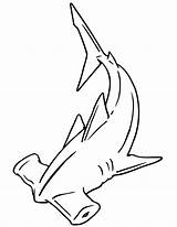 Shark Hammerhead Coloring Pages Drawing Outline Kids Cartoon Template Printable Tattoo Line Clipart Sharks Print Great Drawings Cliparts Colouring Sketch sketch template