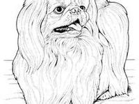 printable dogs ideas coloring pages coloring books coloring