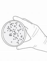 Bacteria sketch template