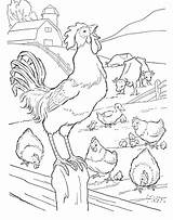 Rooster Barnyard sketch template