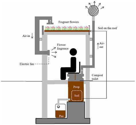 schematic diagram   composting chamber located   toilet  scientific