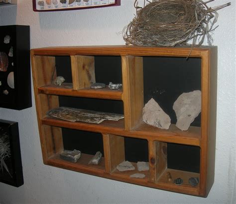 nature display ideas susans homeschool blog susans homeschool blog