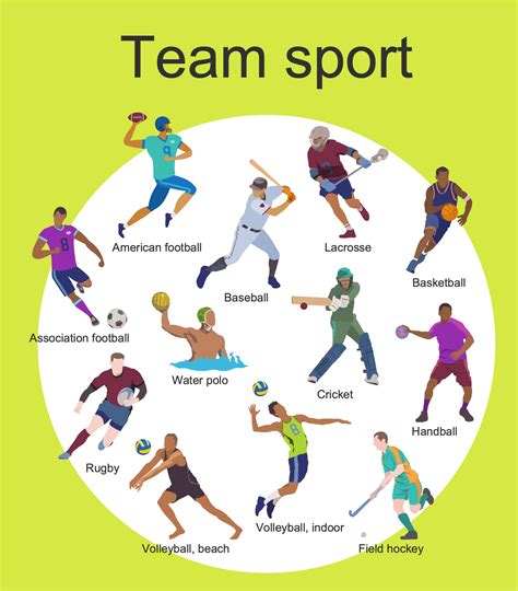 team sport  sample shows   common types  team