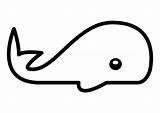Whale Coloring Ballena Para Dibujo Dibujos Colorear Ballenas Boar Wild Pages Large Edupics sketch template